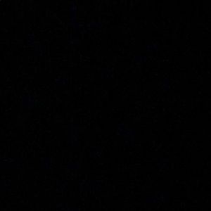 Meet your Posher, Ann